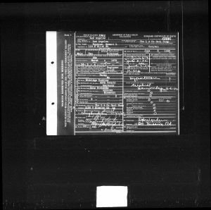 Edward L Hopkins, Death Certificate Edward L Hopkins, Death Certificate
