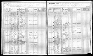 Speidel, Max Joseph, 1865, Census, New York, Buffalo Ward 25, Erie, New York Speidel, Max Joseph, 1865, Census, New York, Buffalo Ward 25, Erie, New York