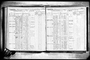 Goodman, Frederika, 1875, Census, New York, Albany, Albany, New York, USA Goodman, Frederika, 1875, Census, New York, Albany, Albany, New York, USA