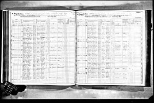 Millwain, James, 1875, Census, New York, Albany Ward 14, Albany, New York