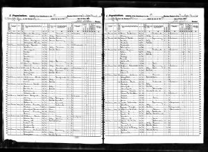 Speidel, Max Joseph, 1855, Census, New York, 1st Election District, 12th Ward, Buffalo, Erie, New York Speidel, Max Joseph, 1855, Census, New York, 1st Election District, 12th Ward, Buffalo, Erie, New York
