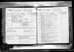 Millwain, James, 1865, Census, New York, Albany, Albany, New York