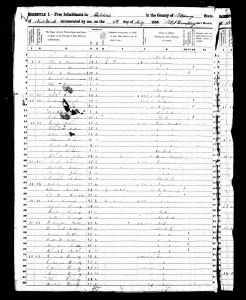 Heintz, John Reinhart, 1850, Census, USA, Sheldon, Wyoming, New York, USA Heintz, John Reinhart, 1850, Census, USA, Sheldon, Wyoming, New York, USA
