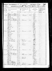 Warren, Willis, 1850, Census, USA, Lee, Fulton, Illinois, USA Warren, Willis, 1850, Census, USA, Lee, Fulton, Illinois, USA