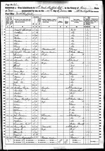 Speidel, Max Joseph, 1860, Census, USA, Black Rock, Erie, New York, USA Speidel, Max Joseph, 1860, Census, USA, Black Rock, Erie, New York, USA