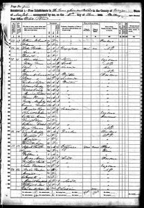 Bratt, John, 1860, Census, USA, Cornwall, Orange, New York Bratt, John, 1860, Census, USA, Cornwall, Orange, New York