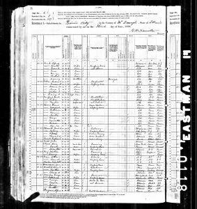 Mead, Alfred, 1880, Census, USA, Bardolph, McDonough, Illinois Mead, Alfred, 1880, Census, USA, Bardolph, McDonough, Illinois