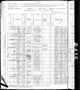 Bratt, Sara, 1880, Census, USA, Albany, Albany, New York Bratt, Sara, 1880, Census, USA, Albany, Albany, New York