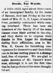 Albany_Democrat_1876_04_23_3